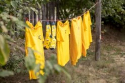 Easy Camp Spirit 300 Tunneltent - 3 Persoons - Groen -Buiten Kamperen Verkoop 1267 1900 waslijn