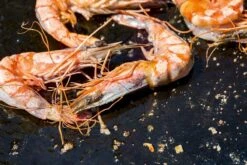 OFYR Kookboek 10 OFYR Kookboek -Buiten Kamperen Verkoop 800 1200 cb no1 nl fr 3