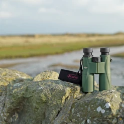 Kowa BDII XD Verrekijker - 10x32 Mm -Buiten Kamperen Verkoop kowa bdii xd verrekijker 6 5 x 32 11 1